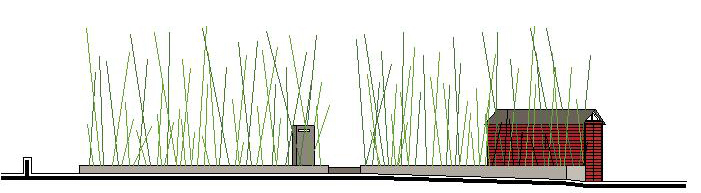 Roccabianca, giardino di bambù